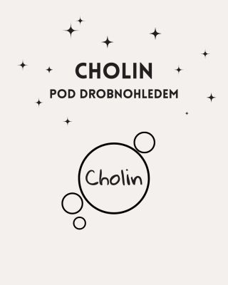 Je nějaká informace o cholinu, která tě překvapila?🙂 Chcete tabulku denního příjmu cholinu a ukázkový jídelníček? Napište...