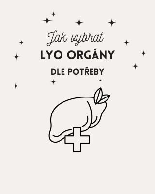 Každý orgán má svůj unikátní nutriční podpis. Játra podporují krev, detox a energii, ledviny vitalitu a hormonální...