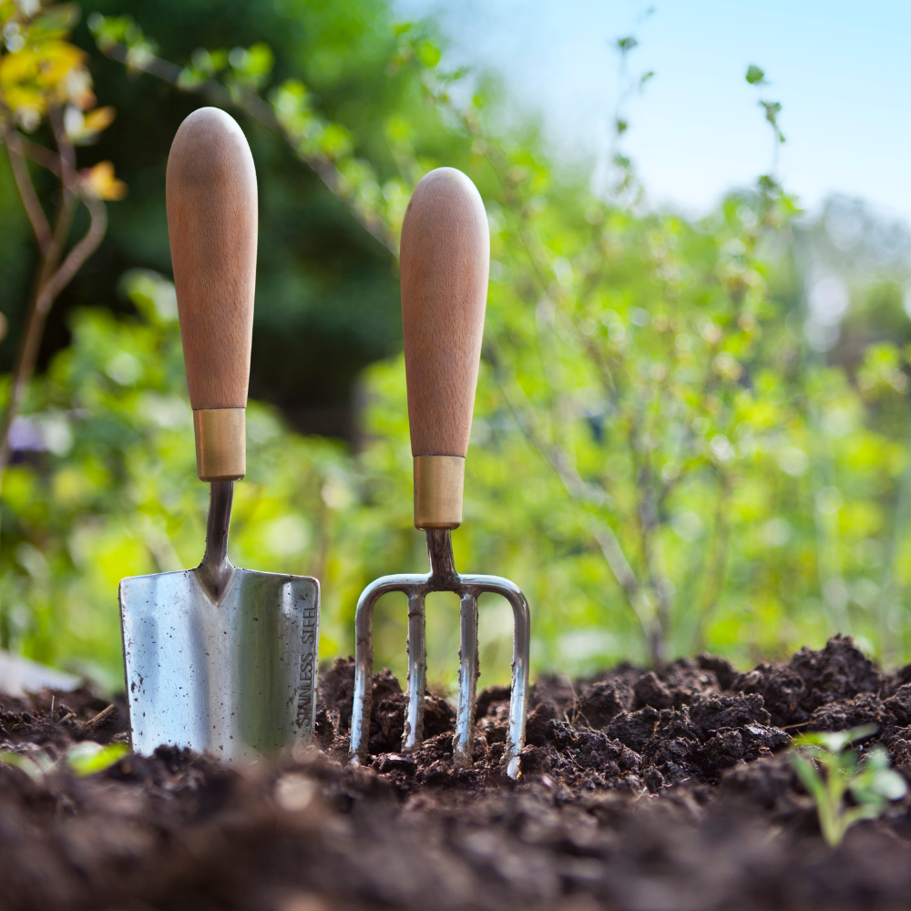 Připravte svou zahradu na novou sezónu