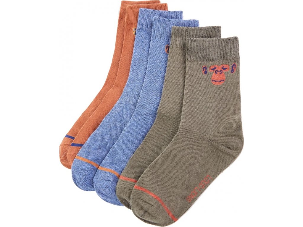 Dětské ponožky 5 párů EU 23–26 [14731]