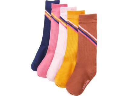 Dětské ponožky 5 párů EU 23–26 [14965]