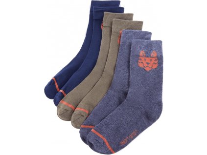 Dětské ponožky 5 párů EU 26–29 [14735]