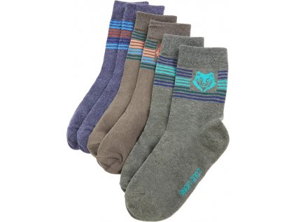 Dětské ponožky 5 párů EU 30–34 [14727]