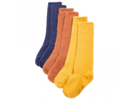 Dětské ponožky 5 párů EU 23–26 [14769]