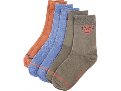 Dětské ponožky 5 párů EU 26–29 [14732]