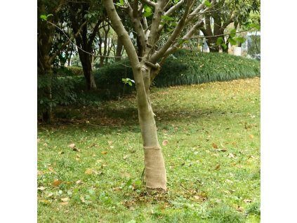 Jutová role 0,25 x 100 m 100% juta 200 g/m² [155794] (Barva Přírodní)