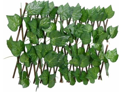 8721012363717 a en hd 1