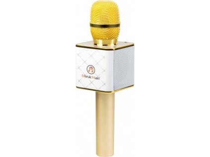Karaoke set Technaxx BT-X31 - bluetooth karaoke mikrofon se stereo reproduktorem [70220419]