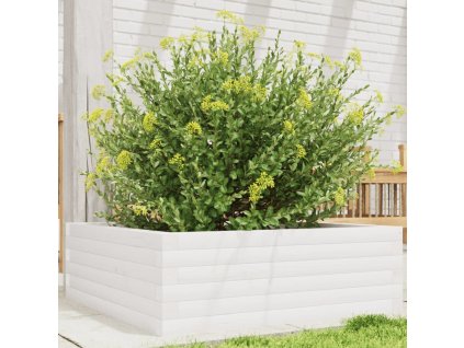 Zahradní truhlík 70 x 70 x 23 cm masivní borové dřevo [847194] (Barva Bílá)