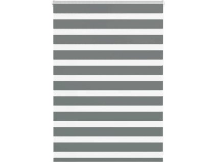 Zebra roleta 100x100 cm šířka látky 95,9 cm polyester [4014105] (Barva Tmavě šedá)