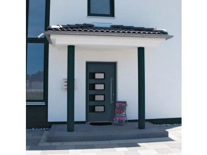 Vchodové dveře 110 x 210 cm hliník a PVC [3157070]