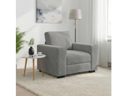 Křeslo 100x77x82 cm samet [4105247] (Barva Světle šedá)