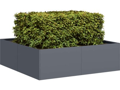 Truhlík 100x100x30 cm [860812] (Barva Nerezová ocel)