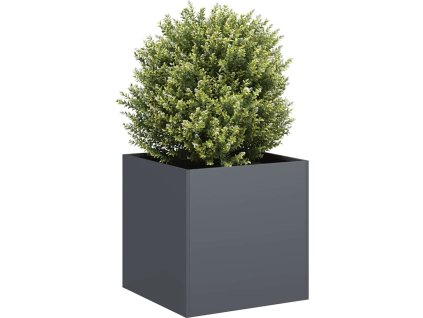 Truhlík rezavá 40 x 40 x 40 cm [860665] (Barva Nerezová ocel)