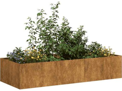 Truhlík 200x80x40 cm ocel [860758] (Barva Povětrnostně odolná ocel)