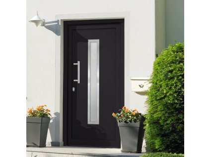 Vchodové dveře antracitové 98 x 190 cm [279224] (Barva bílá zvenku / bílá uvnitř)