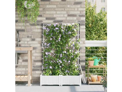 8721158887634 mo im en hd 1