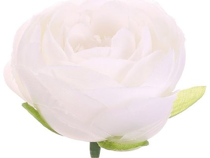 9D19B07D4C7E4FD0585D42B29A8D44109A6CF995 1 pl