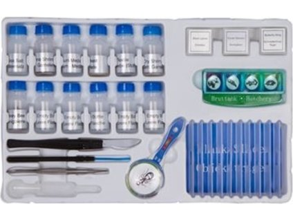 72f6e3479a9b7992a5987b1bcbc048c6