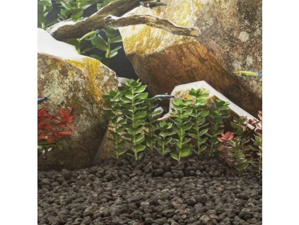 Sopečné kameny 25 kg 3–5 cm [3217183] (Barva Černá)