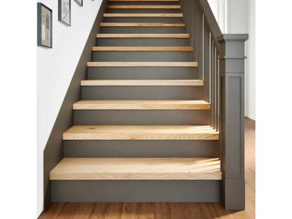 Nášlapy na schody 2 ks světle hnědé 90x30x2 cm masivní dub [3283780] (Barva Přírodní)