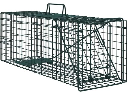 8721288860231 wbg an m en hd 1