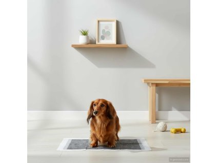 8721364508446 mo im en px16 1