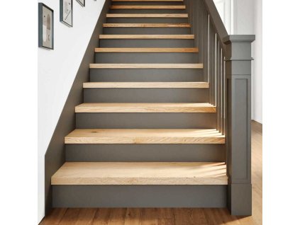 Nášlapy na schody 20 ks světle hnědé 90x30x2 cm masivní dub [3282949] (Barva Přírodní)