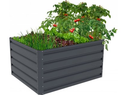 315e21e38f4493267448c929b2d1a70a