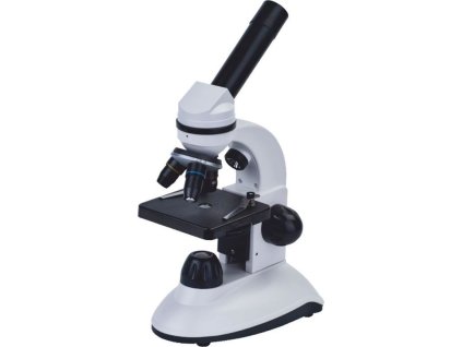 e5a240a6a54f4c53b272070673005f41