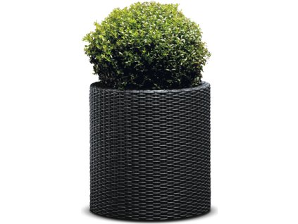 f87763af8abdd7ad2cddb2c6abb08c3d