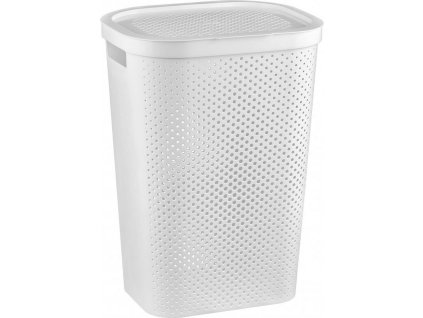 b8d66c66ec24d3b58dd29eb5355fc039