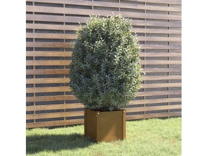 Zahradní truhlík 40 x 40 x 40 cm masivní borovice [810540]