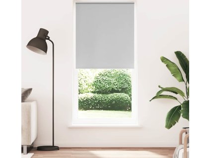 Zatemňovací roleta 80 x 230 cm [240150] (Barva Šedá)