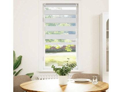 Zebrová roleta 60,9 x 120 cm, šířka látky 56,7 cm, [240190] (Barva Bílá)