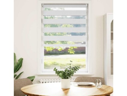 Roleta den a noc / Zebra / Twinroll 50x100 cm [240186] (Barva Bílá)