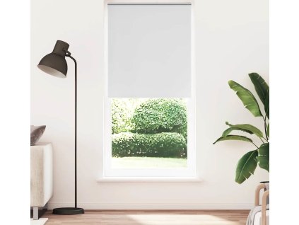 Zatemňovací roleta 104,4 x 230 cm, šířka látky 100 cm, [240152] (Barva Bílá)