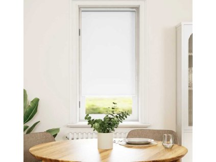 Zatemňovací roleta , 40 x 100 cm [240732] (Barva Bílá)