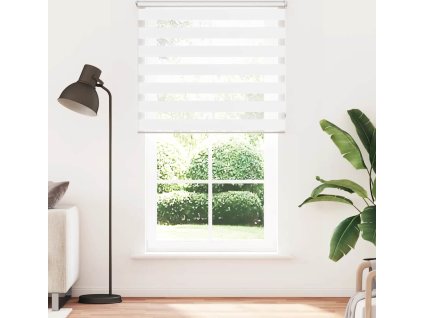 Zebrová roleta 120,9 x 230 cm, šířka látky 116,7 cm, [240218] (Barva Bílá)