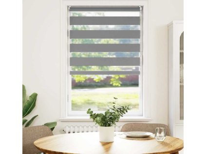 Zebrová roleta 90,9 x 150 cm Šířka látky 86,7 cm [240207] (Barva Šedá)