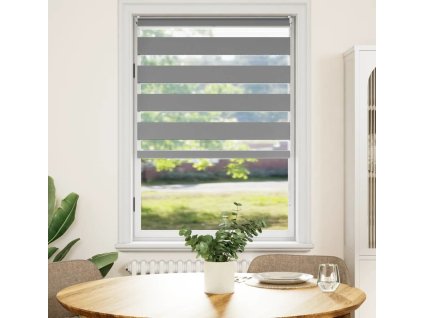 Roleta den a noc / Zebra / Twinroll 100x175 cm [240211] (Barva Šedá)