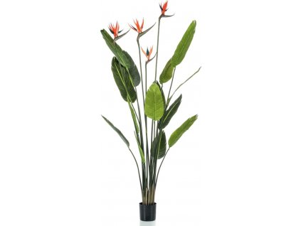 Umělá Strelitzia 4 rostliny v květináči 150 cm [435917]