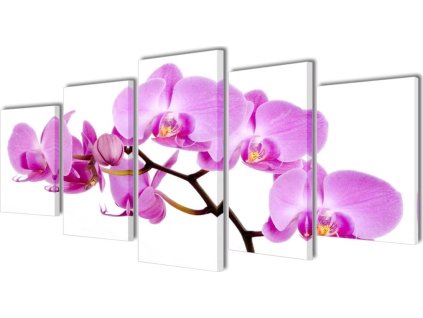 Sada obrazů, tisk na plátně, orchidej, 200 x 100 cm [241571]