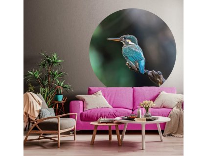 Kruhová tapeta The Kingfisher 190 cm [440375]
