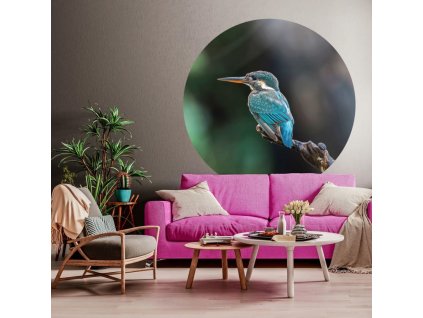 Kruhová tapeta The Kingfisher 142,5 cm [440376]