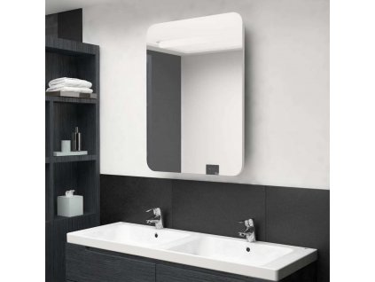 LED koupelnová skřínka se zrcadlem 60 x 11 x 80 cm [326509]