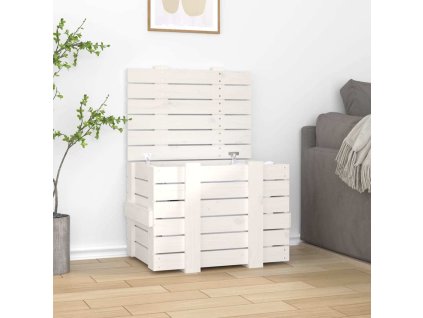 Úložný box 58 x 40,5 x 42 cm masivní borové dřevo [824994] (Barva Bílá)