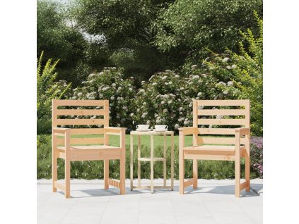 Zahradní židle 2 ks 60 x 48 x 91 cm masivní dřevo douglasky [824058]
