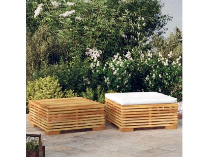 2dílná zahradní sedací souprava masivní teakové dřevo [319169]