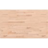 Koupelnová deska 100 x 60 x 1,5 cm masivní bukové dřevo [355987] (Barva Přírodní)